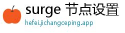 surge 节点设置